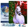 Image de Figured’Art Diamond Painting Broderie Diamant 40x50cm Avec Cadre Toile Tendue Strass Perles Carrés - Cheval et fond coloré - Kit Complet Animaux 5D DIY Activité Manuelle Loisirs Créatifs Adultes