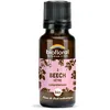 Image de BIOFLORAL - 03 Beech, Hêtre BIO - 470 Granules - Compréhension - Fleur de Bach Authentique - Sans Alcool