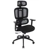 Image de Siège ergonomique RG600 - Noir