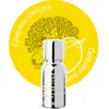 Image de Mon Shampoing - Booster Cuir Chevelu Délicat Shampoing 5 ml unisex