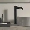 Image de Ideal Standard Ceraline Mitigeur de lavabo à bec haut, BC269XG,