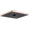 Image de Ideal Standard Alu+ Douche de tête, 2 jets, BE223RO,
