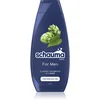 Image de Schwarzkopf Schauma MEN shampoing pour homme à usage quotidien 400 ml
