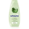 Image de Schwarzkopf Schauma 7 Herbs shampoing aux herbes pour cheveux normaux à gras 400 ml