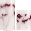 Image de Pauleen 48129 Shiny Bloom Candle Cire avec Pile avec minuterie de 6 Heures Bougies LED kit de 2, 0.2 W