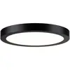Image de Paulmann Abia 70984 Panneau à LED 22 W blanc chaud noir (mat)