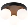 Image de Paulmann 71069 Plafonnier Selection Bathroom Gove IP44 G9 230V max. 3x20W gradable Noir mat, Satin luminaire de salle de bain