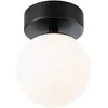 Image de Paulmann 71071 plafonnier LED Selection Bathroom Gove IP44 3000K 400lm 230V 5W Noir mat, Satin luminaire de salle de bain