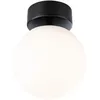 Image de Paulmann 71072 Plafonnier LED Selection Bathroom Gove IP44 3000K 900lm 230V 9W Noir mat, Satin luminaire de salle de bain