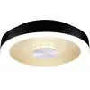 Image de Paulmann 71178 Volea Plafonnier LED LED 3.5 W, 13 W noir, or