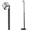 Image de Paulmann Aldan 79717 Lampadaire à LED LED 17 W aluminium (brossé), noir