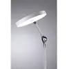 Image de Paulmann NUMIS 79884 Lampe à LED de table LED 11 W blanc