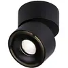 Image de Paulmann 93371 Spircle Luminaire LED pour montage en surface LED LED intégrée 8 W noir (mat)