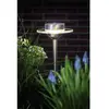 Image de Lampe de jardin solaire Paulmann Ufo 0.2 W acier inoxydable, transparent(e) 55 cm