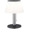 Image de Paulmann 94309 4000870943090 Lampe de table solaire 0.8 W blanc chaud acier inoxydable