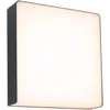 Image de Paulmann 94840 Applique d'extérieur LED Azalena détecteur mouvement haute fréquence IP44 250x97 mm 3000K 8,5W 700lm 230V anthracite lumin. d'extérieur