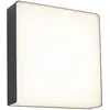 Image de Paulmann Azalera 94840 Applique LED extérieure LED 8.5 W anthracite