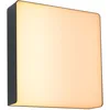 Image de Paulmann 94842 Applique d'extérieur LED Smart Home Zigbee Azalena détecteur mouvement IP44 250x97mm Tunable Warm 8,5W 700lm Anthra. lumin. d'extérieur