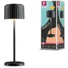 Image de Paulmann 94878 Luminaire solaire LED alimenté par batterie Else IP44 2700K Noir 250lm USB-C Batterie Portable Lampe de table