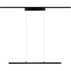 Image de Paulmann Lento Suspension LED URail LED intégrée 42 W LED noir (mat)