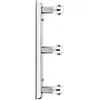 Image de Paulmann 99679 Mirror Regula, max. 3x40W, E14, Chrome, 230V, Métal