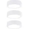Image de Paulmann Luminaire LED pour montage en surface LED LED intégrée 9 W blanc chaud blanc