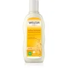 Image de Weleda Oat shampoing régénérant pour cheveux secs et abîmés 190 ml