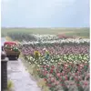 Image de Roses BUSCH 1205 H0