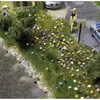 Image de Fleurs dété Busch 1229 H0