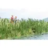 Image de Herbes et roseaux à massette Busch 1256 H0