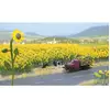 Image de Busch 6003 60 tournesols H0