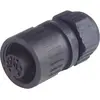 Image de Hirschmann 934 125-100-1 934125100 Cosse cylindrique mâle femelle, droit Nombre total de pôles: 3 + PE Série (connecteur rond): CA 1 pc(s)
