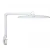 Image de MAUL Lampe LED MAULexplore | Lampe de travail professionnelle | LED dimmable | Lampe à pince LED de 6500 K | Lampe lumière du jour pour bureau, modélisme, atelier | Blanc