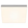 Image de Briloner Leuchten Plafonnier LED sans cadre, en saillie, température de couleur blanc chaud, 287 x 287 x 36 mm, argenté, argenté