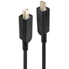 Image de Lindy 38480 câble DisplayPort 10 m Mini DisplayPort Noir