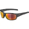 Image de ALPINA Unisexe - Adultes, TESTIDO Lunettes de sport, anthracite-black matt, One Size