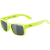 Image de ALPINA Unisexe - Enfants, MITZO Lunettes de soleil, neon yellow matt, One Size