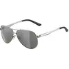 Image de ALPINA Unisexe - Adultes, A 107 Lunettes de soleil, titanium matt, One Size