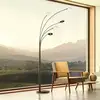 Image de Fischer & Honsel Dent Lampadaire arqué, LED à 5 sources lumineuses, 40402,