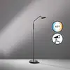 Image de Fischer & Honsel Tallri Lampadaire LED à 1 source lumineuse, 40485,