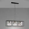 Image de Fischer & Honsel Samu Suspension, E27, 61028,