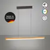 Image de Fischer & Honsel Shine-Wood Suspension, LED, 61101,