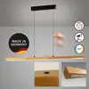 Image de Fischer & Honsel Shine-Wood Suspension, LED, 61103,