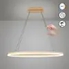 Image de Fischer & Honsel Silvio Suspension LED, lumière descendante, 61199,