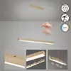 Image de Fischer & Honsel Vayana Suspension, LED, 61205,