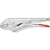 Image de Knipex Pince-étau zinguée 250 mm, 41 04 250 EAN | Sur carte LS avec poignées multimatières 160 mm