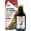 Image de Salus Floradix Fer & Vitamin Formula Liquid 250 ml