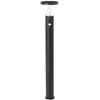 Image de Lampadaire dextérieur solaire avec détecteur de mouvements Brilliant G40412/06 Tulip Module LED LED intégrée 3 W noir