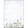 Image de SIGEL DP013 Papier à lettre de Noël, étoiles argentées, 21 x 29,7 cm, 90g/m², blanc, 25 feuilles