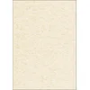 Image de SIGEL DP655 Papier à lettres, 21 x 29,7 cm, 200g/m², texturé crépis, beige, 50 feuilles